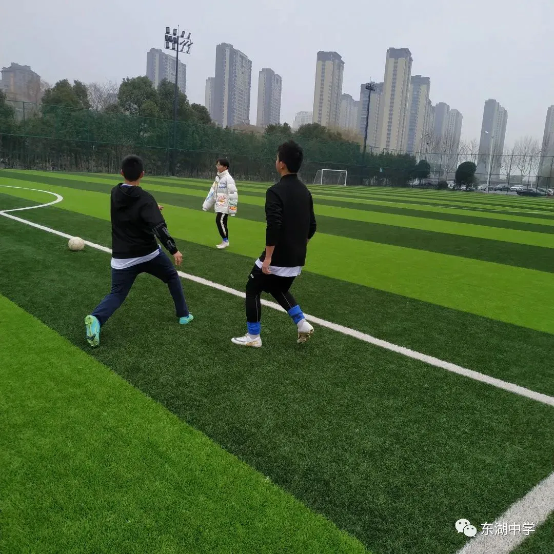 亚军球队的训练方案如何帮助你快速提升篮球技能_1